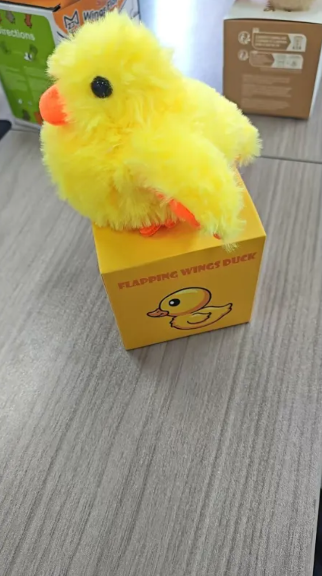 Plush Bird Pet Toy